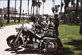 Harley meeting Venice Beach