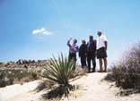 Men and Kites in Joshua Tree Monument